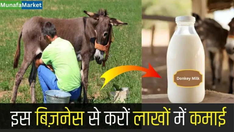 गधी के दूध का बिजनेस | Donkey Milk Business